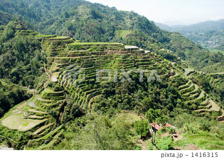 コルディリェーラ棚田群 コルディリェーラ棚田群 1416315