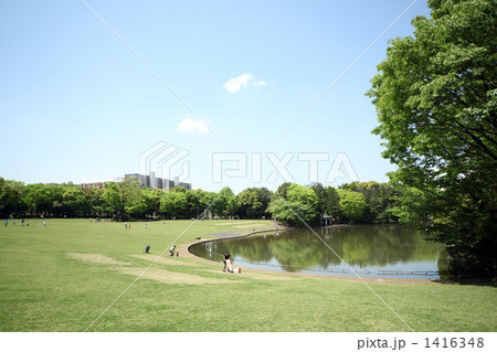 多摩中央公園 1416348