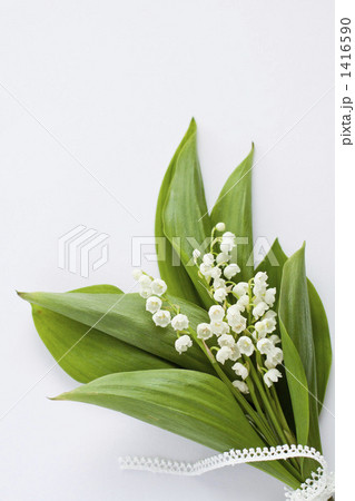 すずらんの花束 1416590