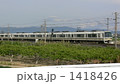 1418426