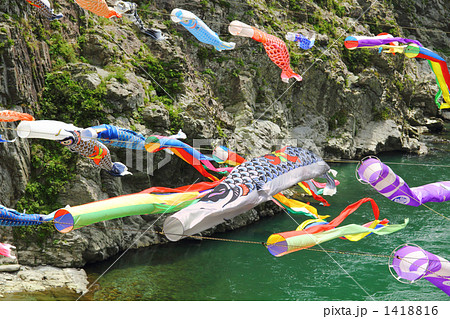 吉野川　大歩危峡に泳ぐ鯉のぼり 1418816