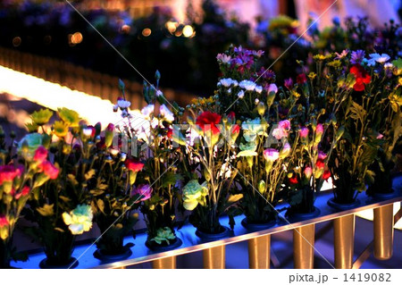 献華献灯 1419082