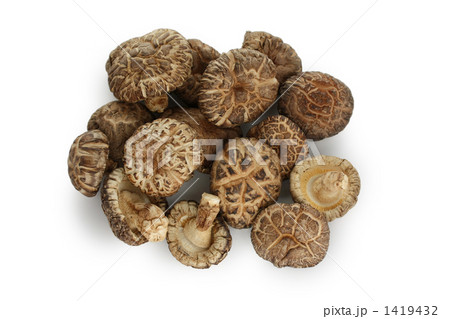 干し椎茸 1419432