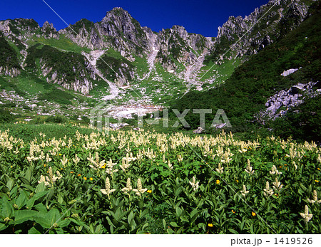 千畳敷カール 千畳敷カール 1419526