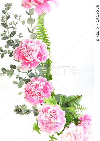 フラワーアレンジ　カーネーション 1419566