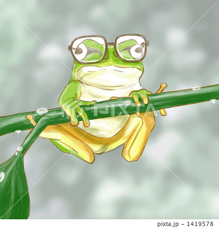 Glasses Frog Stock Illustration