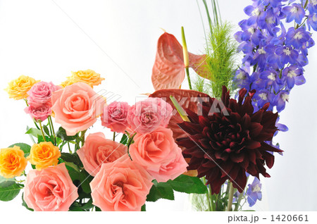 Daria with Roses Daria with Roses 1420661