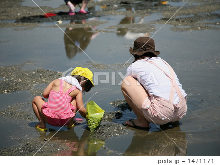 初めての潮干狩り!! 初めての潮干狩り!! 1421171