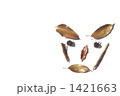 凛々しい？ 1421663