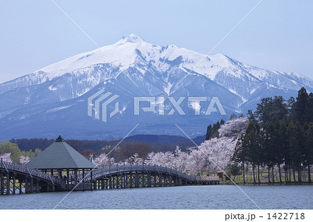 青森 岩木山と桜 青森 岩木山と桜 1422718