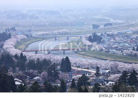秋田　角館　桧内川の桜並木 1422820