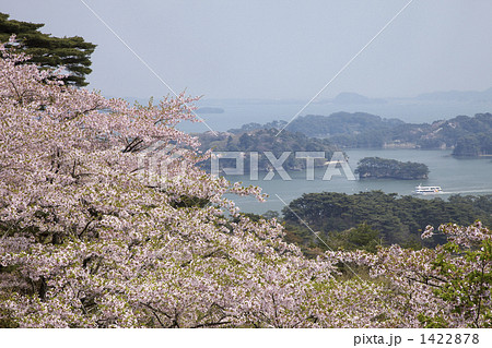宮城 松島の春 宮城 松島の春 1422878