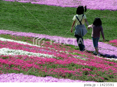 芝桜と小道を歩く姉妹 1423591