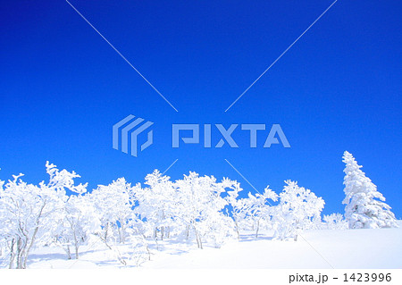 森吉山の樹氷 1423996