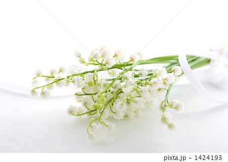 鈴蘭とリボン 1424193