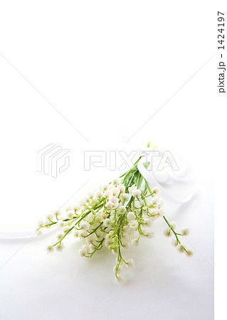 鈴蘭とリボン 1424197