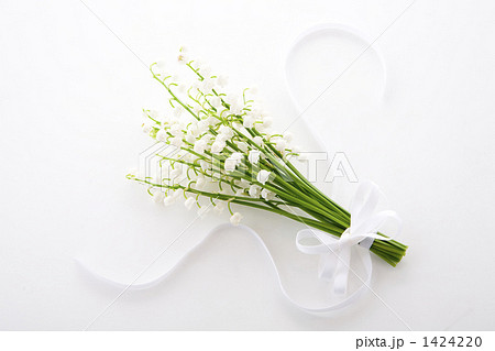 鈴蘭とリボン俯瞰 1424220