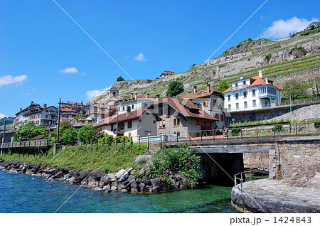 スイス　ラヴォーのブドウ段々畑 1424843