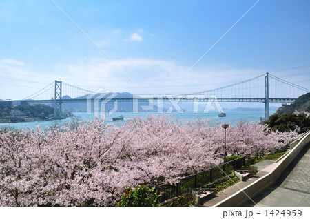 桜咲く火の山公園より望む関門橋 桜咲く火の山公園より望む関門橋 1424959
