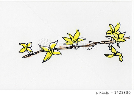 イラストレンギョウの花 イラストレンギョウの花 1425380