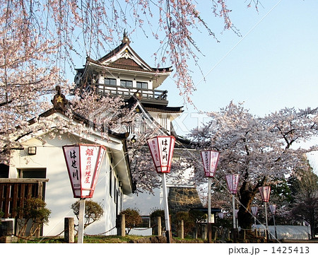 桜祭りの横手城 1425413