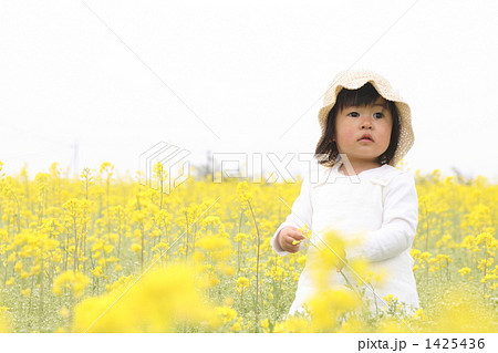 菜の花と子供の写真素材