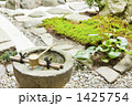 手水鉢のある日本庭園 1425754