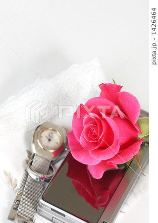 Rose-04 1426464