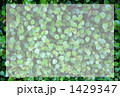 GREEN GREEN 1429347