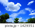GREEN GREEN 1429351