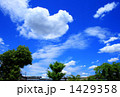 Blue Sky Blue Sky 1429358