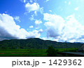 Blue Sky Blue Sky 1429362