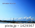 Blue Sky Blue Sky 1429367