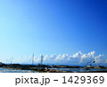 Blue Sky Blue Sky 1429369