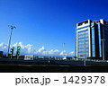 Blue Sky Blue Sky 1429378