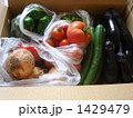 夏野菜ぎっしりの仕送り 1429479