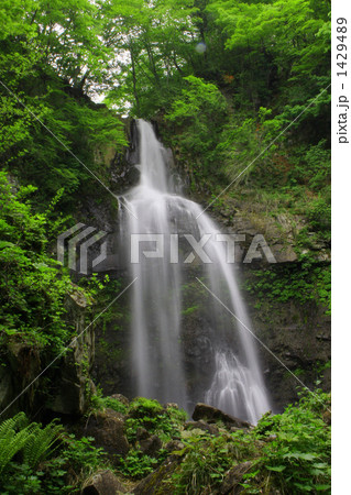 銚子ヶ滝（郡山市） 1429489