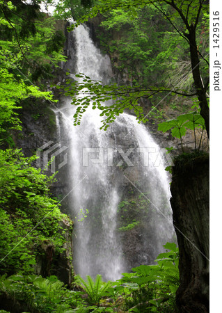 銚子ヶ滝(郡山市) 銚子ヶ滝(郡山市) 1429516