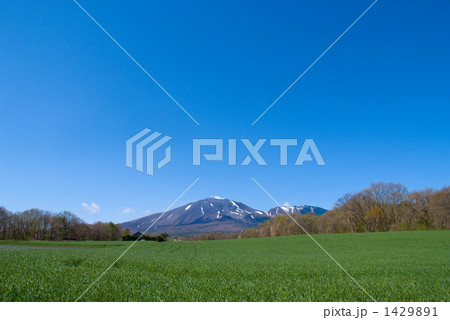 牧場と浅間山 1429891