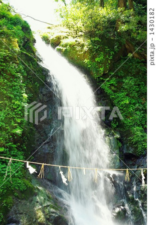 新緑の一乗滝 1430182