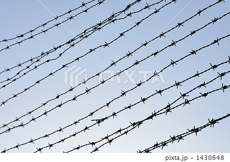 有刺鉄線 1430648