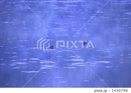 南湖公園(白河市) 南湖公園(白河市) 1430799