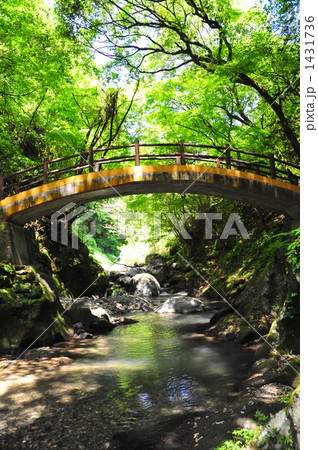 ﾊﾟﾜｰスポット 1431736