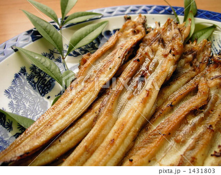 焼きあなご 焼きあなご 1431803