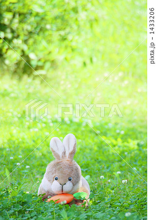 クローバーとうさぎ 縦の写真素材