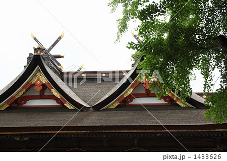 国宝本殿 1433626