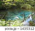 神の池 1435312