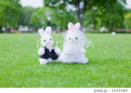 結婚式（うさぎの縫いぐるみ）２ 1435484