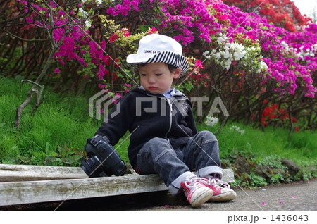 小さなカメラマン 小さなカメラマン 1436043