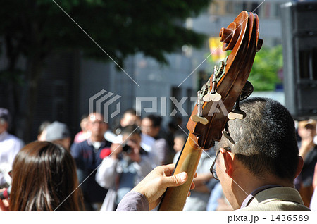 ウッドベースを弾く男性 1436589